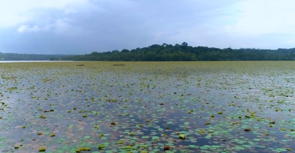 Vellayani Lake
