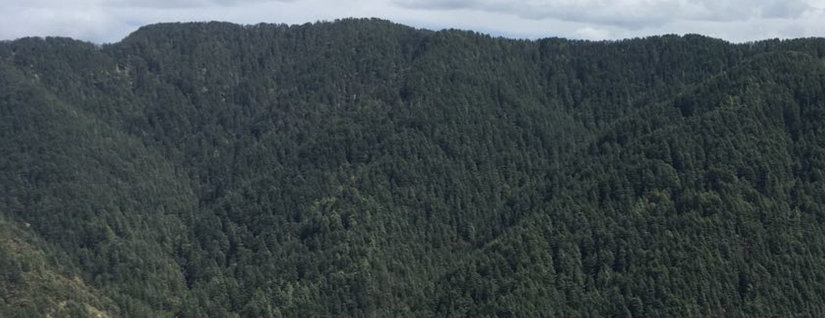 Palakkad (Palghat) Tour, Kerala